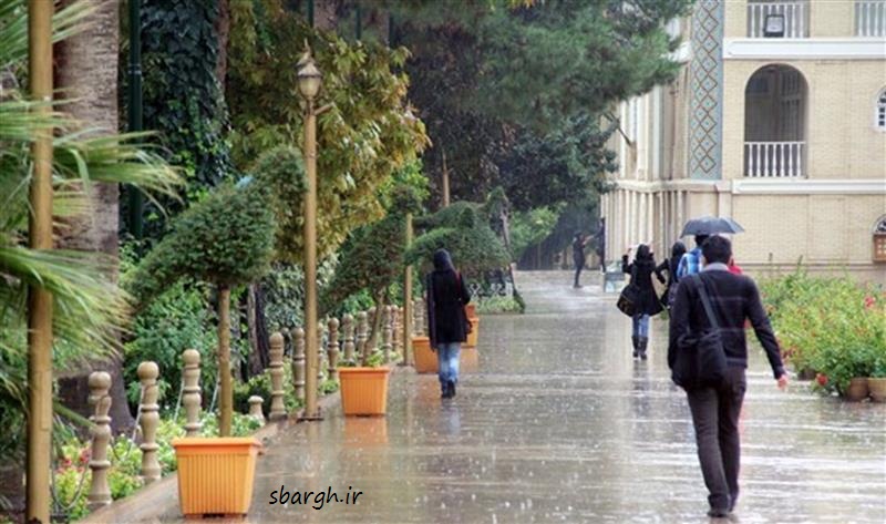 شرکت توزیع نیروی برق شیراز