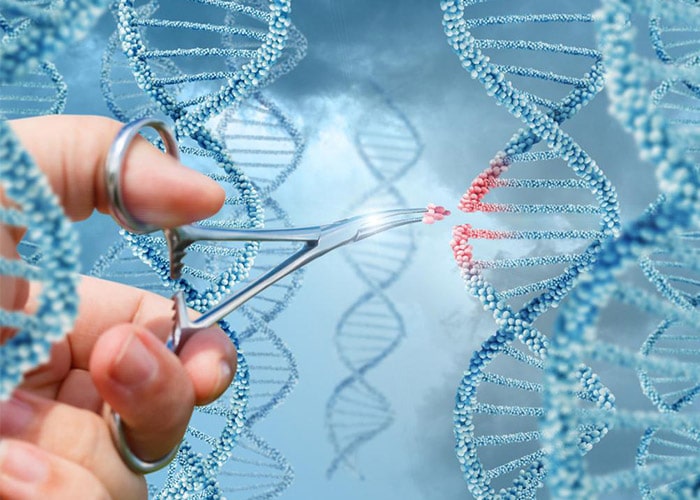 DNA , GENETIC , ژنتیک , ژن , دی ان ای