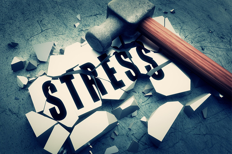  SELF IMPROVEMENT , STRESS ,   MEETING ,  ENTREPRENEUR