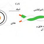 کابل های فیلد باس